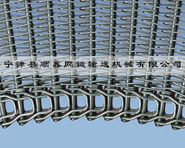 台州冷冻传送式螺旋网带