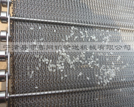 台州大米清洗网带