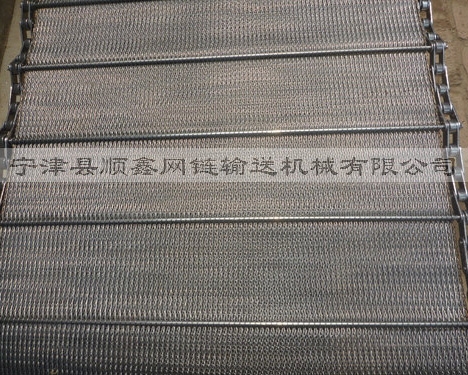 台州人字型链条网带